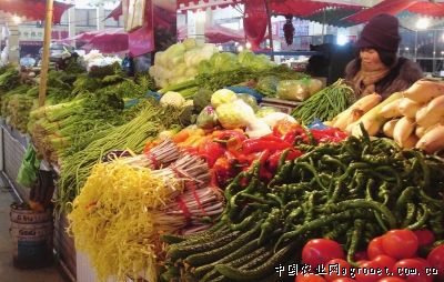 北京芽苗菜市场