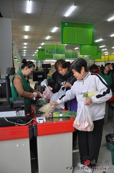湖南省新化县蔬菜产业成为农民增收“加速器”