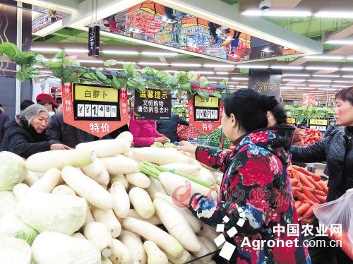 中华神剑韭菜种子多少钱一斤