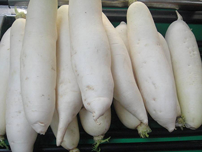 中白76大白菜种植技术