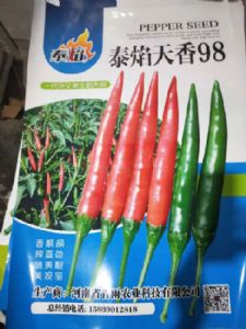 2019最火的朝天椒种子-天香98，天香19